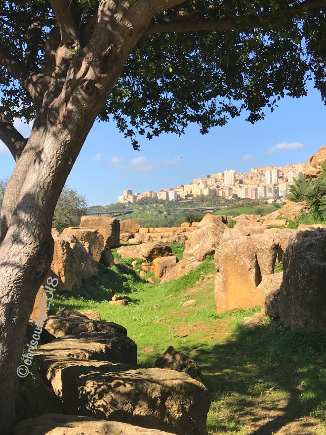 JPEG image-C6F896EBDD14-1