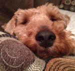 319421_3775039733048_1321106270_n