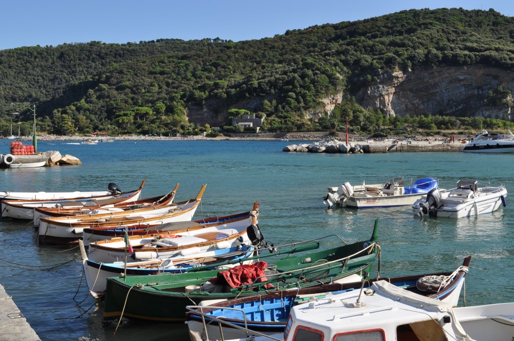 small boats in the water